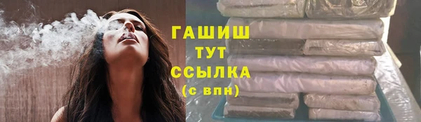 индика Инсар
