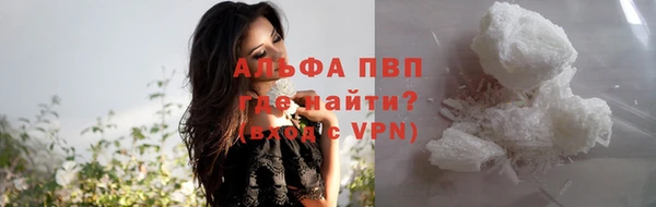 apvp Иннополис