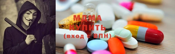 индика Инсар