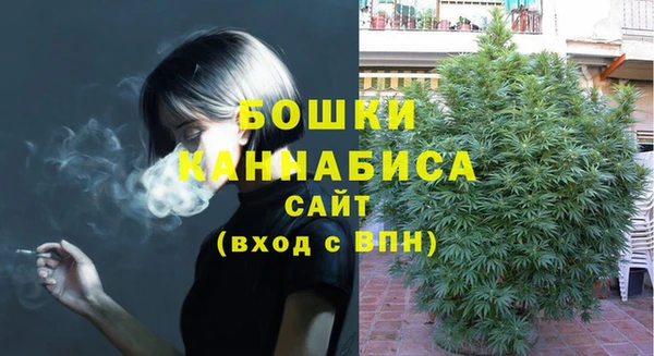 тгк Санкт-Петербург