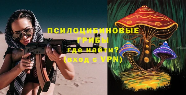 прущие грибы Фёдоровский