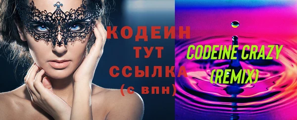 apvp Каменка